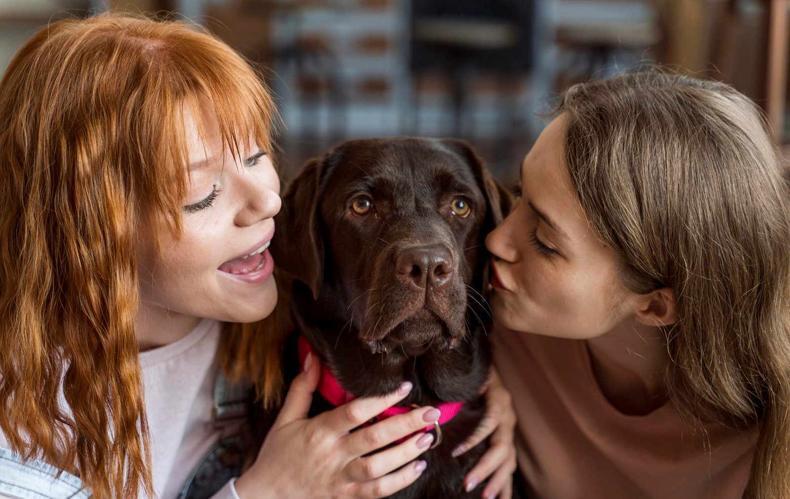 Deux femmes et leur chien