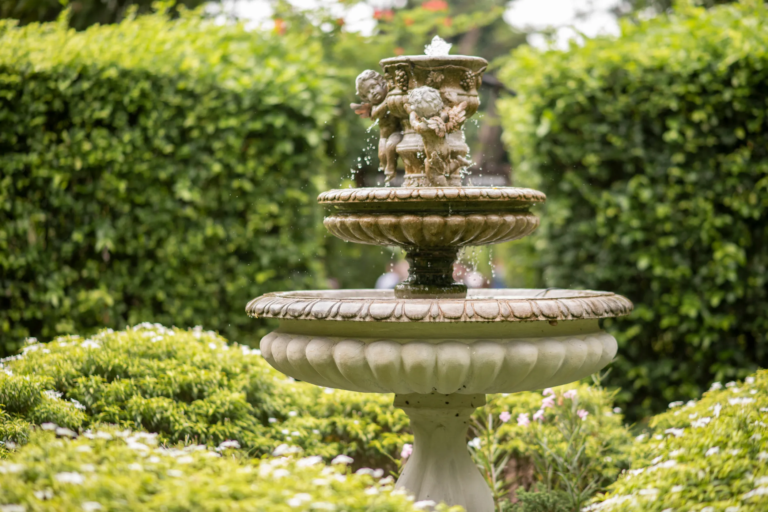 une fontaine dans un jardin