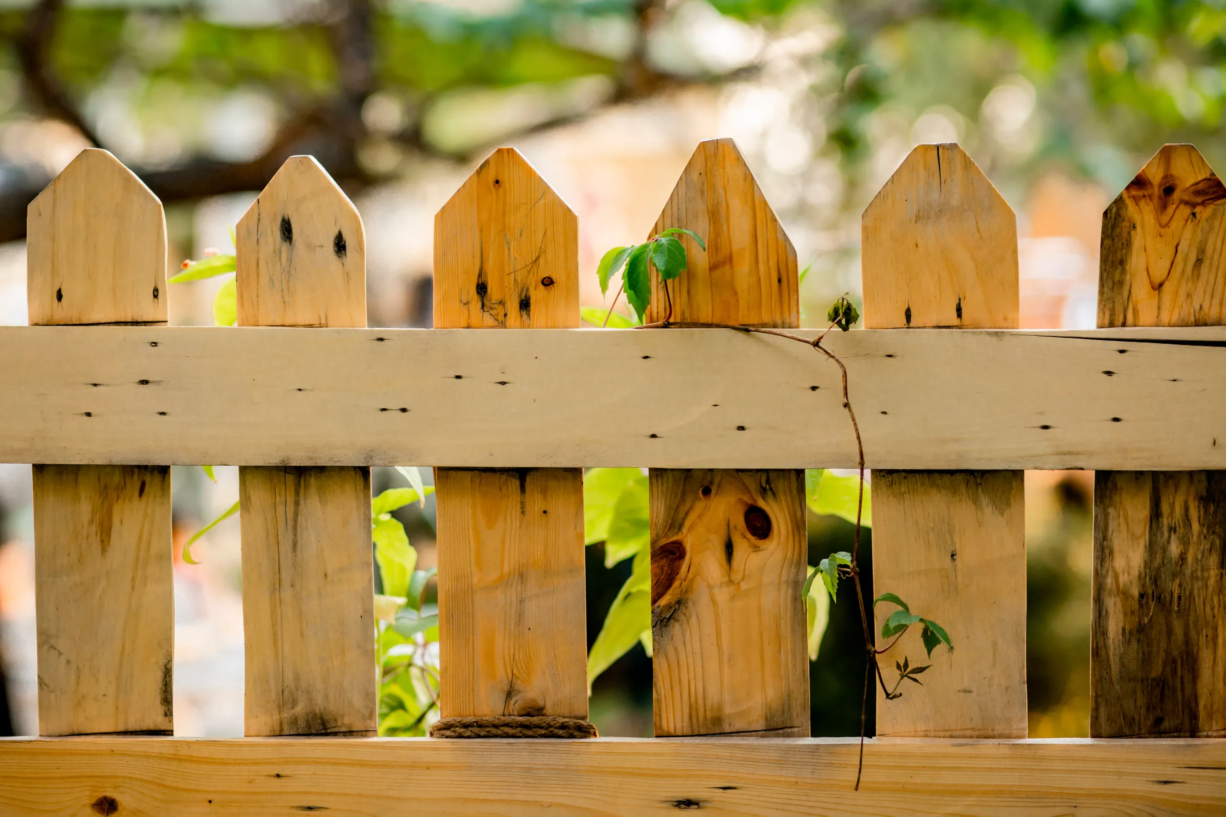 une cloture en bois pour jardin