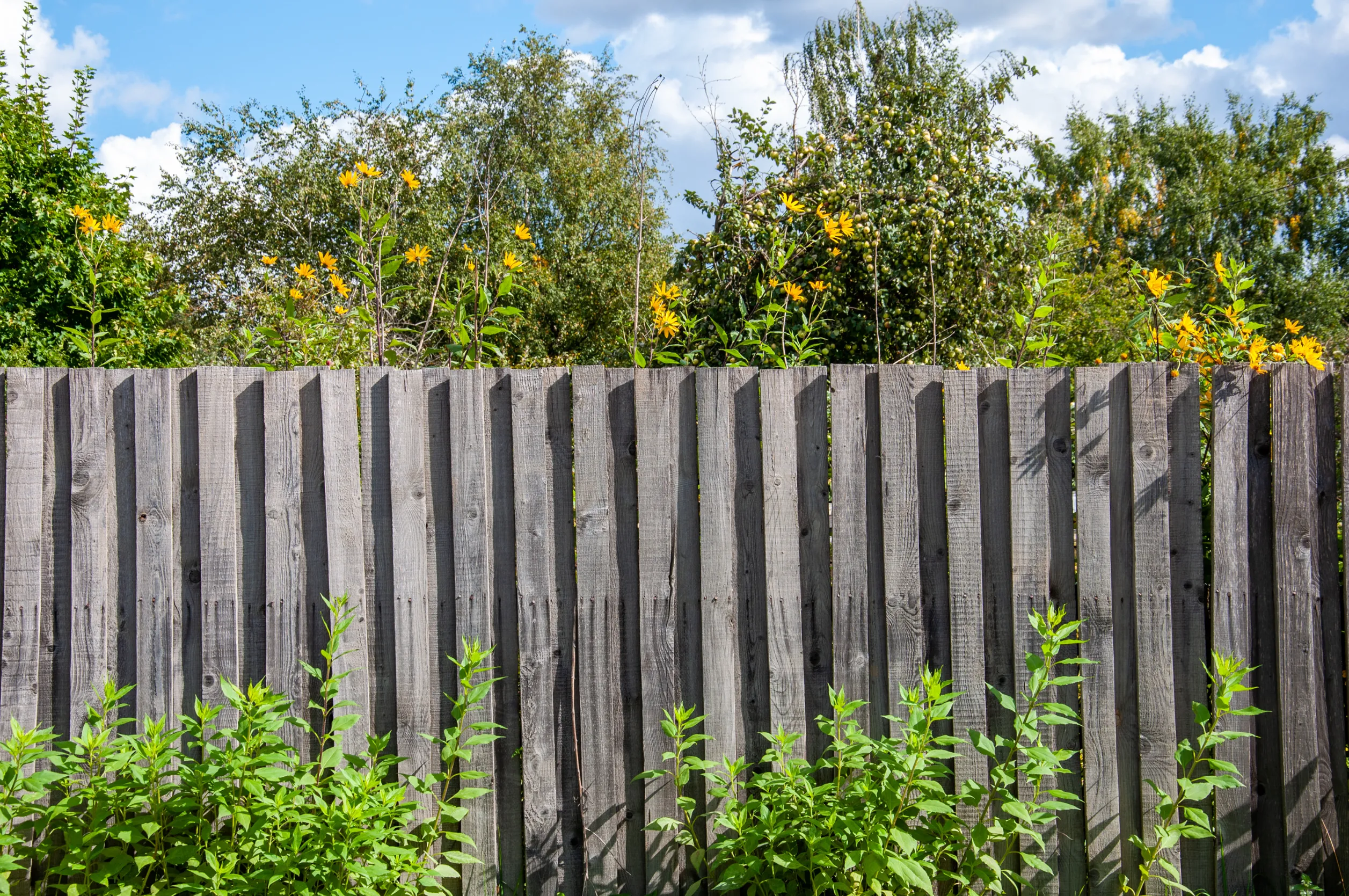 une cloture en bois pour jardin