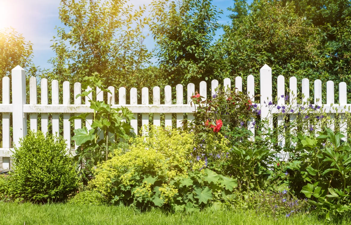 Où trouver du bois pour clôture jardin ?